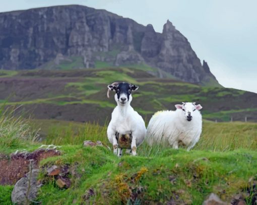 isle-of-skye-paint-by-numbers