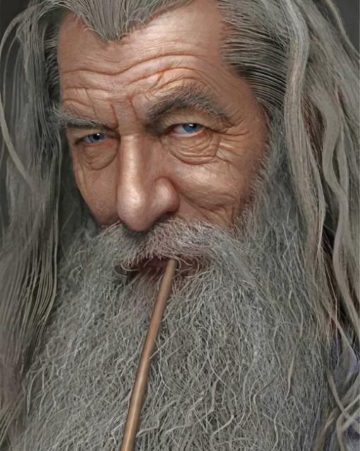 lord-of-the-irng-character-paint-by-numbers