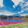 diamond painting