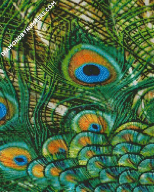 peacock feather 2 diamond paintings