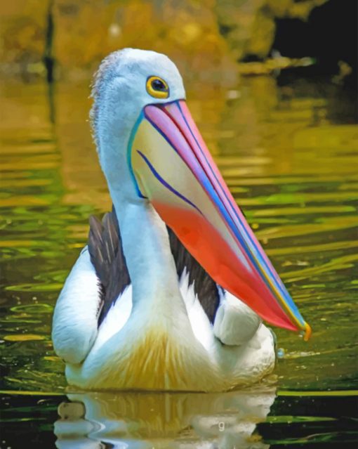 pelican--bird-paint-by-numbers