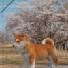 diamond painting