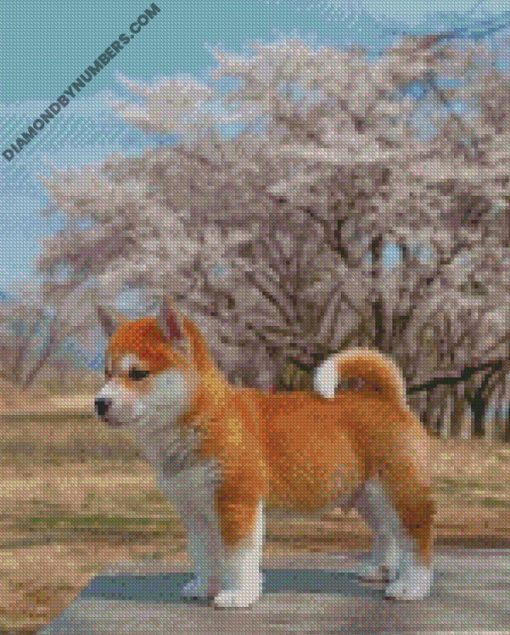 diamond painting