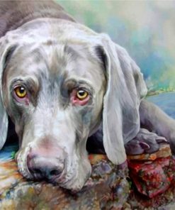weimaraner-art-paint-by-numbers