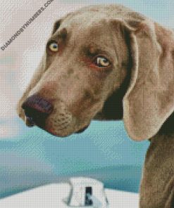diamond paintings