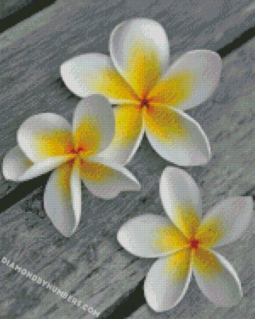diamond painting