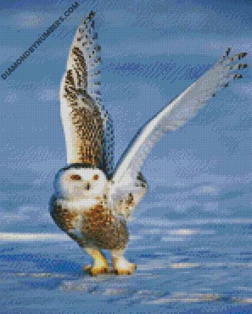 diamond paintings