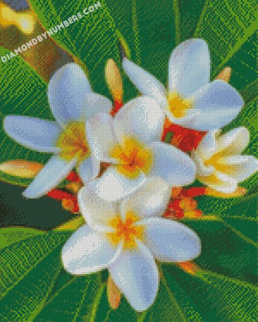 diamond painting