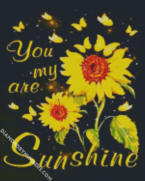 you are my sunshine diamond painting