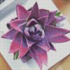 lovely purple succulent diamond paintings