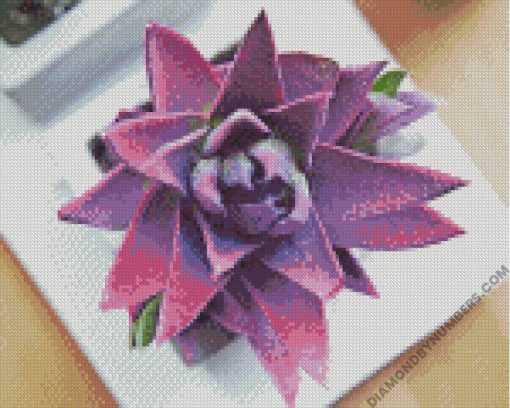 lovely purple succulent diamond paintings