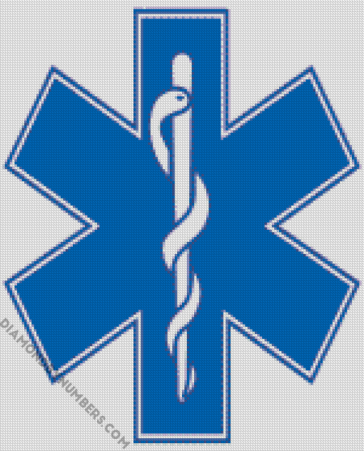 EMS Life Star Emblem paint by numbers