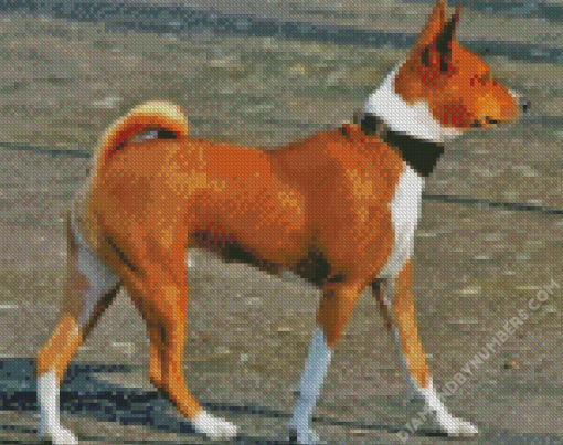 Basenji Puppy - 5D Diamond Painting