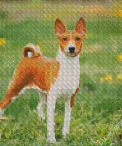 Basenji Animal - 5D Diamond Painting