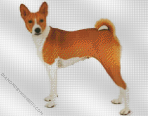 Basenji Dog 5D Diamond Painting