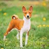 Basenji Animal diamond paint by numbers