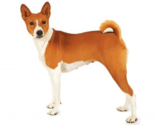 Basenji Dog diamond paint by numbers
