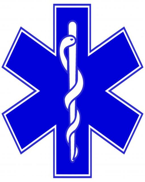 EMS Life Star Emblem paint by numbers