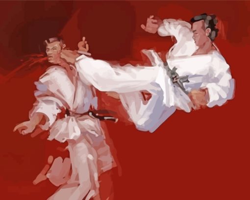 Karate Fighters diamond painting