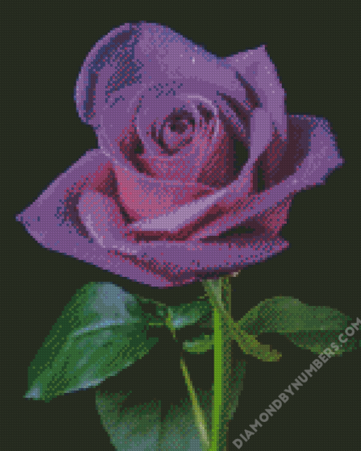 Purple Rose 5D Diamond Painting