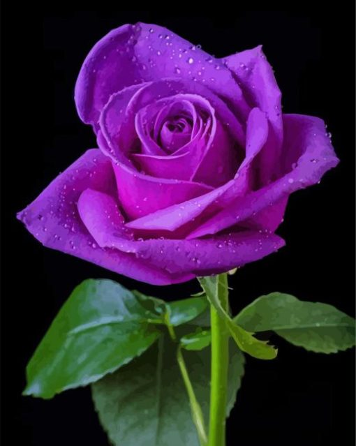 Purple rose diamond paint by numbers