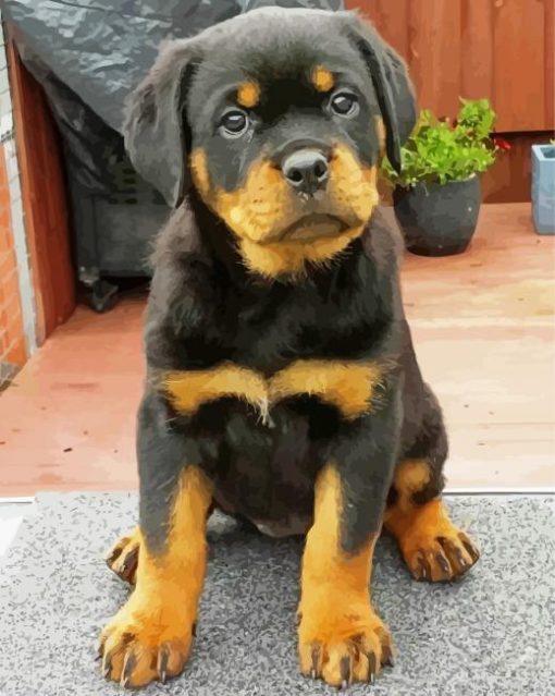 Rottweiler Puppy Diamond paint by numbers