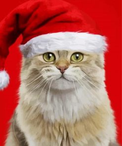 Cat In Red Christmas Hat paint by numbers