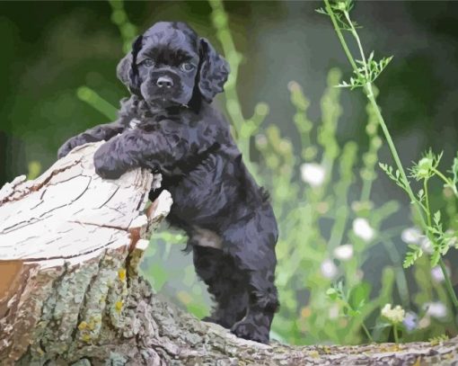 Cocker Spaniel Puppy Diamond by numbers