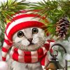 Cute Christmas Cat paint by numbers