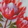 Pretty Proteas Diamond painting