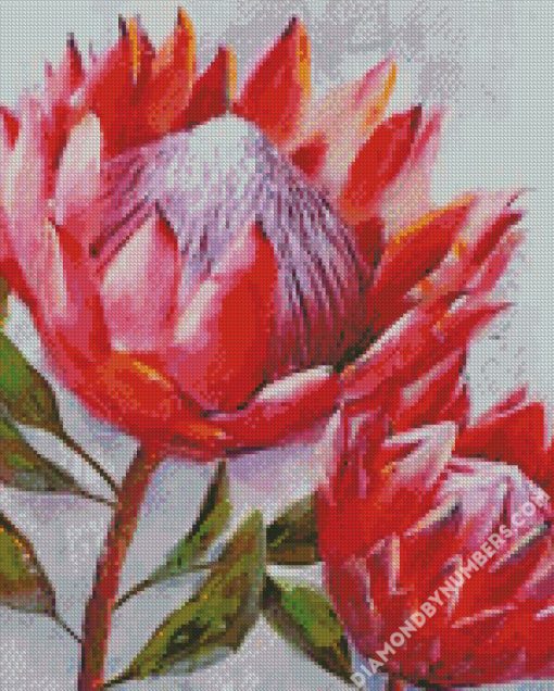 Pretty Proteas Diamond painting
