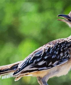 Road Runner Diamond by numbers