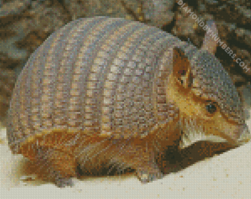 Armadillo diamond paintings