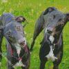Black Lurcher Dogs diamond painting