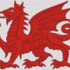 Welsh Dragon Illustration diamond paintings