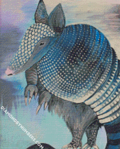 Aesthetic Armadillo diamond paintings