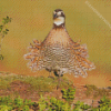 Aesthetic northern Bobwhite diamond paintings