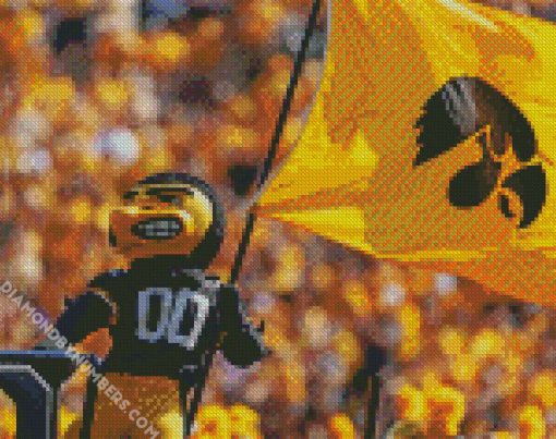 Aesthetic Iowa Hawkeyes Logo diamond painting