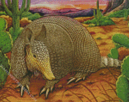 Armadillo in the desert diamond paintings