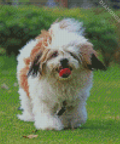cute Lhasa Apso Dog Diamond Painting