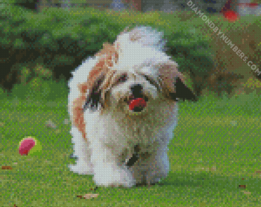 cute Lhasa Apso Dog Diamond Painting