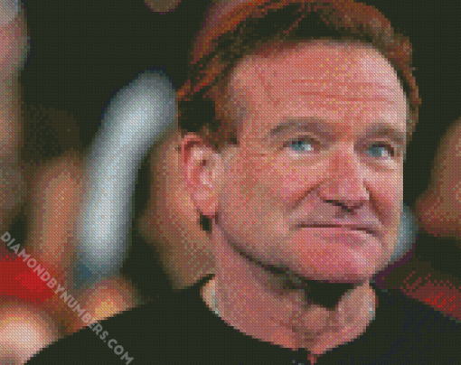 The American Actor Robin Williams diamond painting