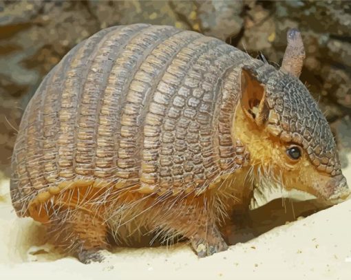 Armadillo diamond paintings