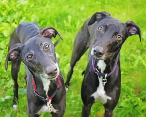Black Lurcher Dogs diamond painting