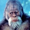 Aesthetic Old Bigfoot Animal Diamond Painting