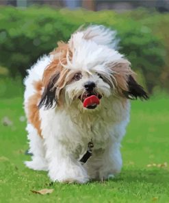 cute Lhasa Apso Dog Diamond Painting