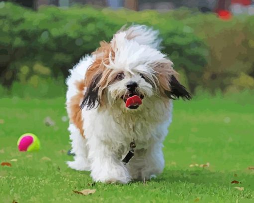 cute Lhasa Apso Dog Diamond Painting
