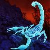 Blue Scorpion Diamond painting