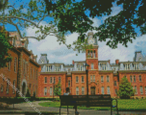 Aesthetic West Virginia University diamond painting