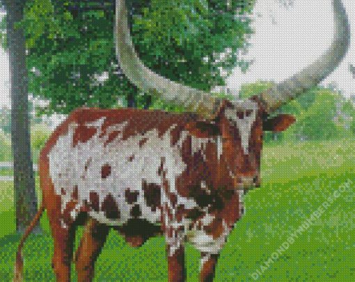 African Wild Cattle diamond paintings